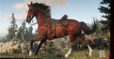 rdr2 horse guide|all horses in rdr2 story mode.